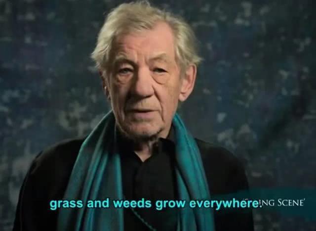 刘易斯·布莱克：悲剧的是，我需要你,悲剧背后的无奈与反思