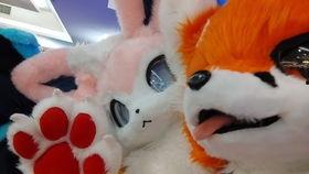 鲤氏侦探事务所,揭秘神秘案件的神秘力量