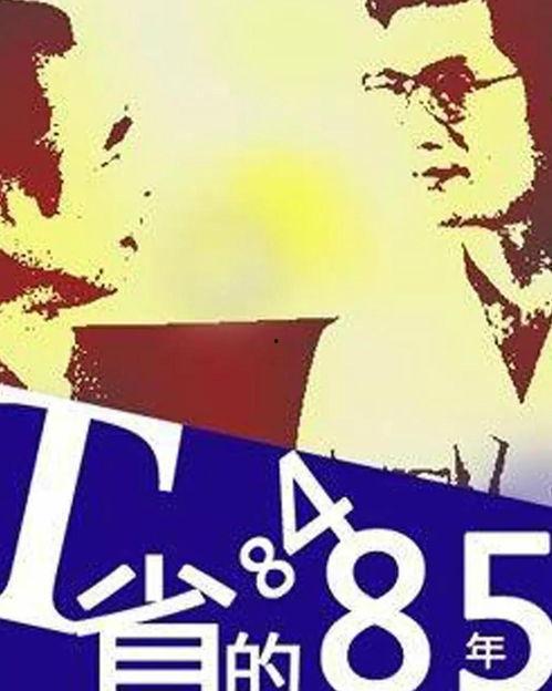 T省的84·85年,T省84·85年发展历程回顾