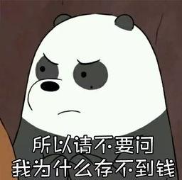 你们见到的还不算什么,探索未知领域的初步印象