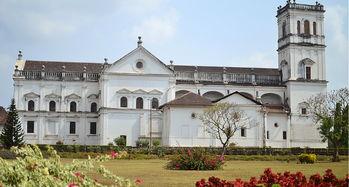 圣弗朗西斯,慈悲与自然的守护者