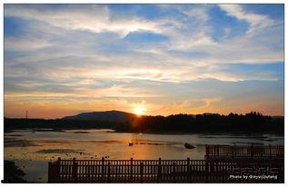 秋水长天,探寻自然与心灵的和谐共鸣