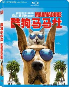 酷狗马马杜,酷狗音乐界的璀璨新星