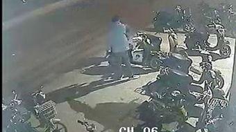 鱼贼：五大湖之谜,揭秘水下神秘生物的传奇故事