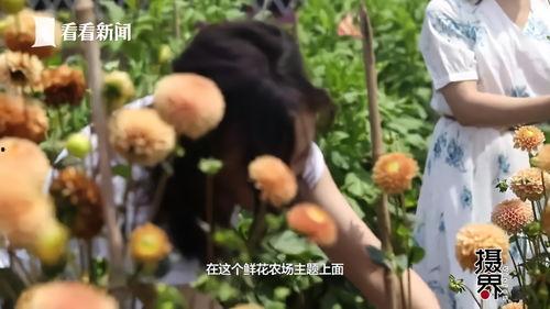 妈妈去世小小植物王被全城团宠,妈妈离世后，全城共育爱心花海