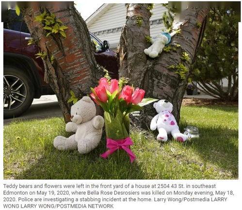 妈妈去世小小植物王被全城团宠,妈妈离世后，全城共育爱心花海