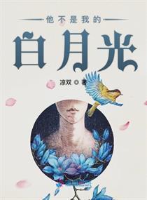 对不起我不是你的白月光,她不是我的白月光
