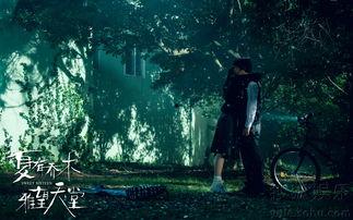 夏有乔木 雅望天堂,青春记忆中的诗意校园