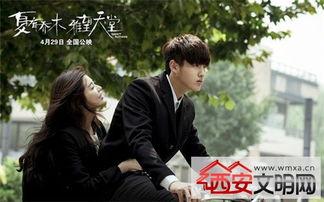 夏有乔木 雅望天堂,青春记忆中的诗意校园