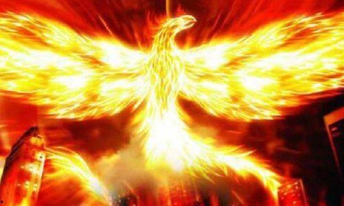 涅槃重生，前夫请伏诛,前夫请伏诛，爱恨纠葛终章