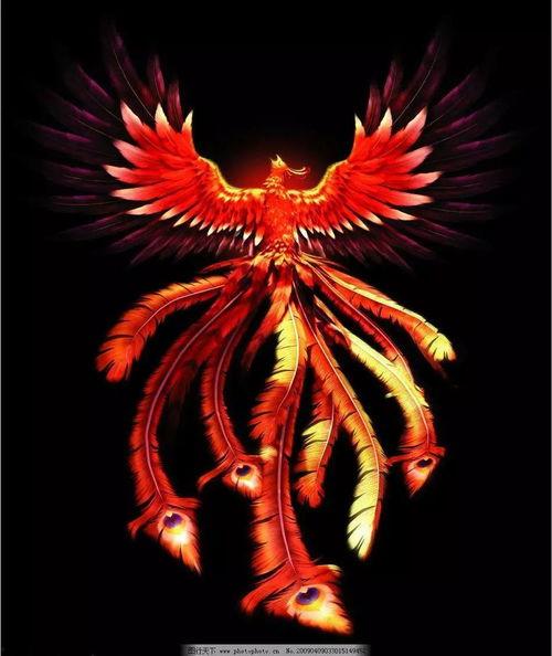 涅槃重生，前夫请伏诛,前夫请伏诛，爱恨纠葛终章