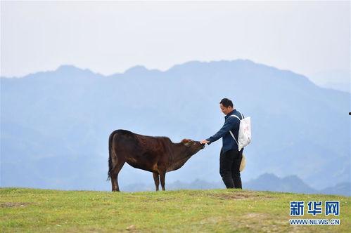 我们村的指导员